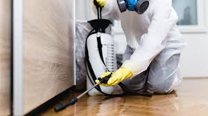 Emergency Pest Control Services in Castlewood, VA